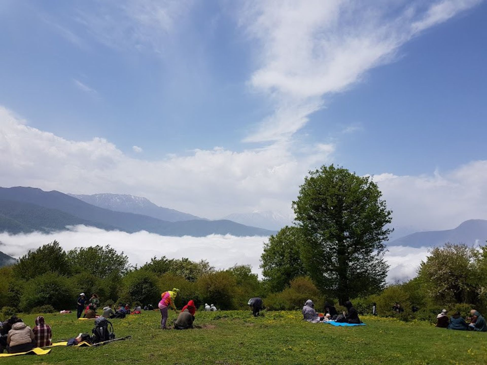Picnic in the forest of Alimistan
