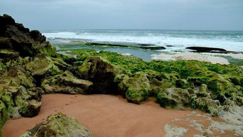 Chabahar rocky beach
