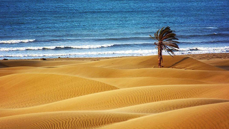 The beach of understanding