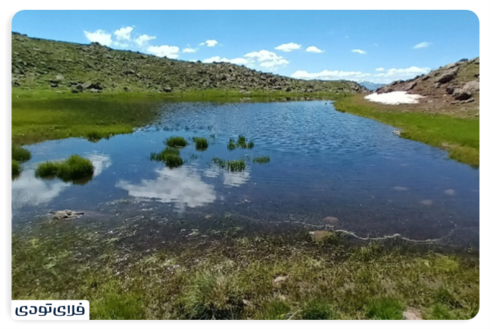 Wetland