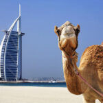 Travel Guide to Dubai - 7 Tips to Know Before traveling to Dubai | DigiKala Meg