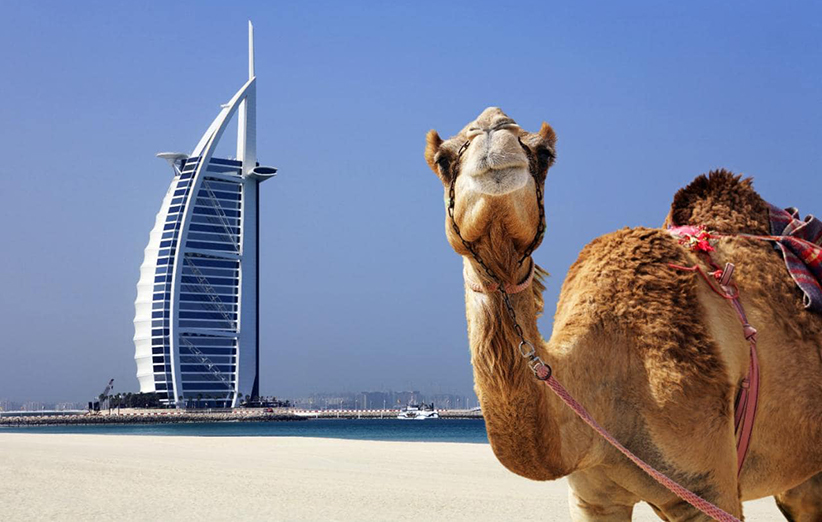 Travel Guide to Dubai - 7 Tips to Know Before traveling to Dubai | DigiKala Meg