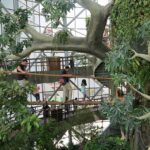The nature of the Dubai Green Planet