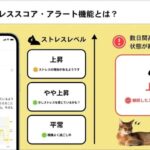 Artificial Intelligence app for cats