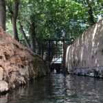 River and lush trees in Niasser