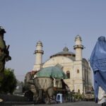 Taliban leader condemned the ban on Afghan nationals' travels by Trump