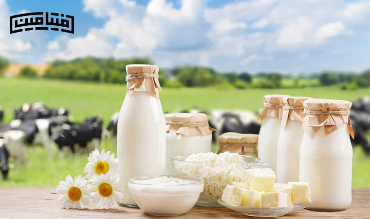 The best dairy for muscle building