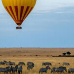 Where is Kenya? Travel Guide to Kenya (Comprehensive) Costs and Spectacles