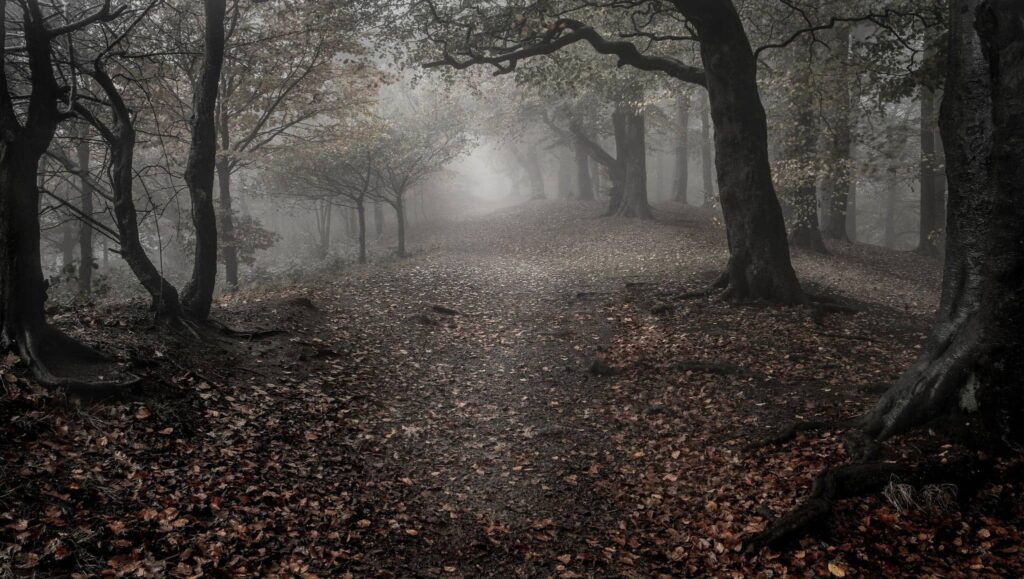 Mashhad Scream Forest