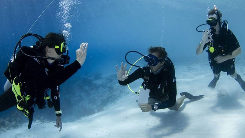 Diving in Qeshm
