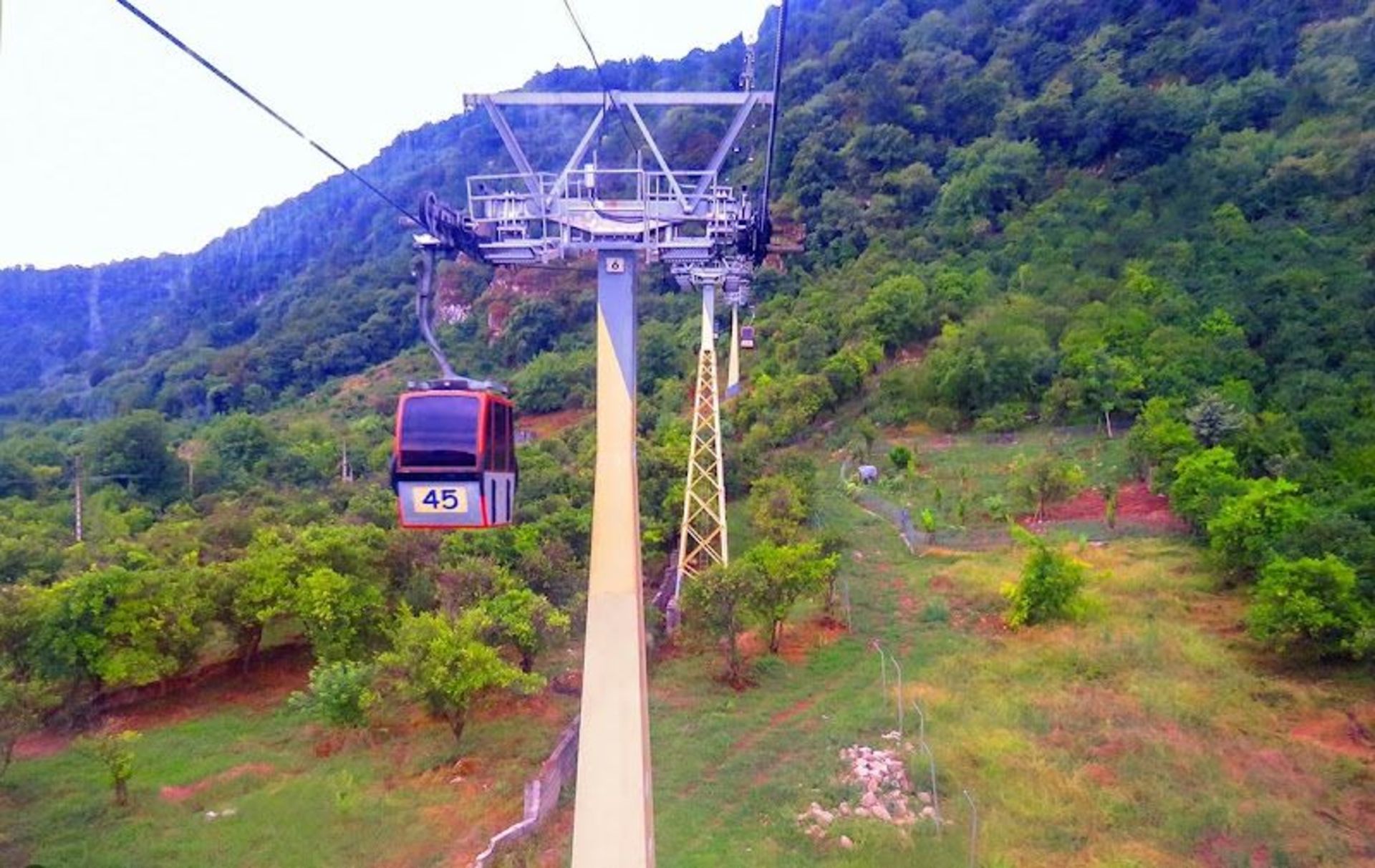 Ramsar Cab's Route in the Forest Mouain