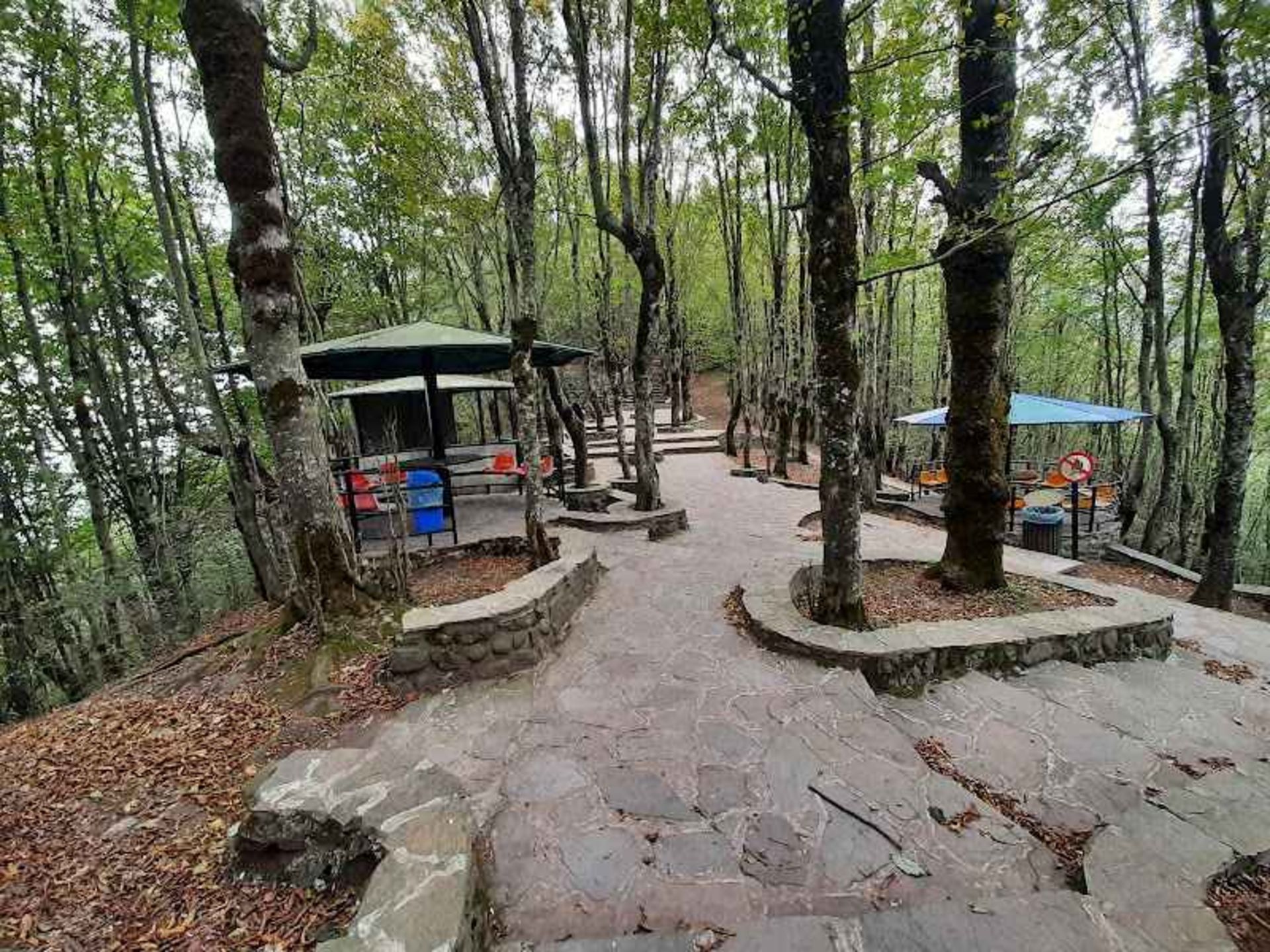 Ramsar Forest Park Alachiq