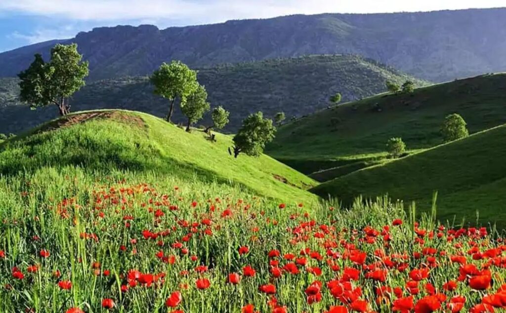 Shiraz's natural attractions