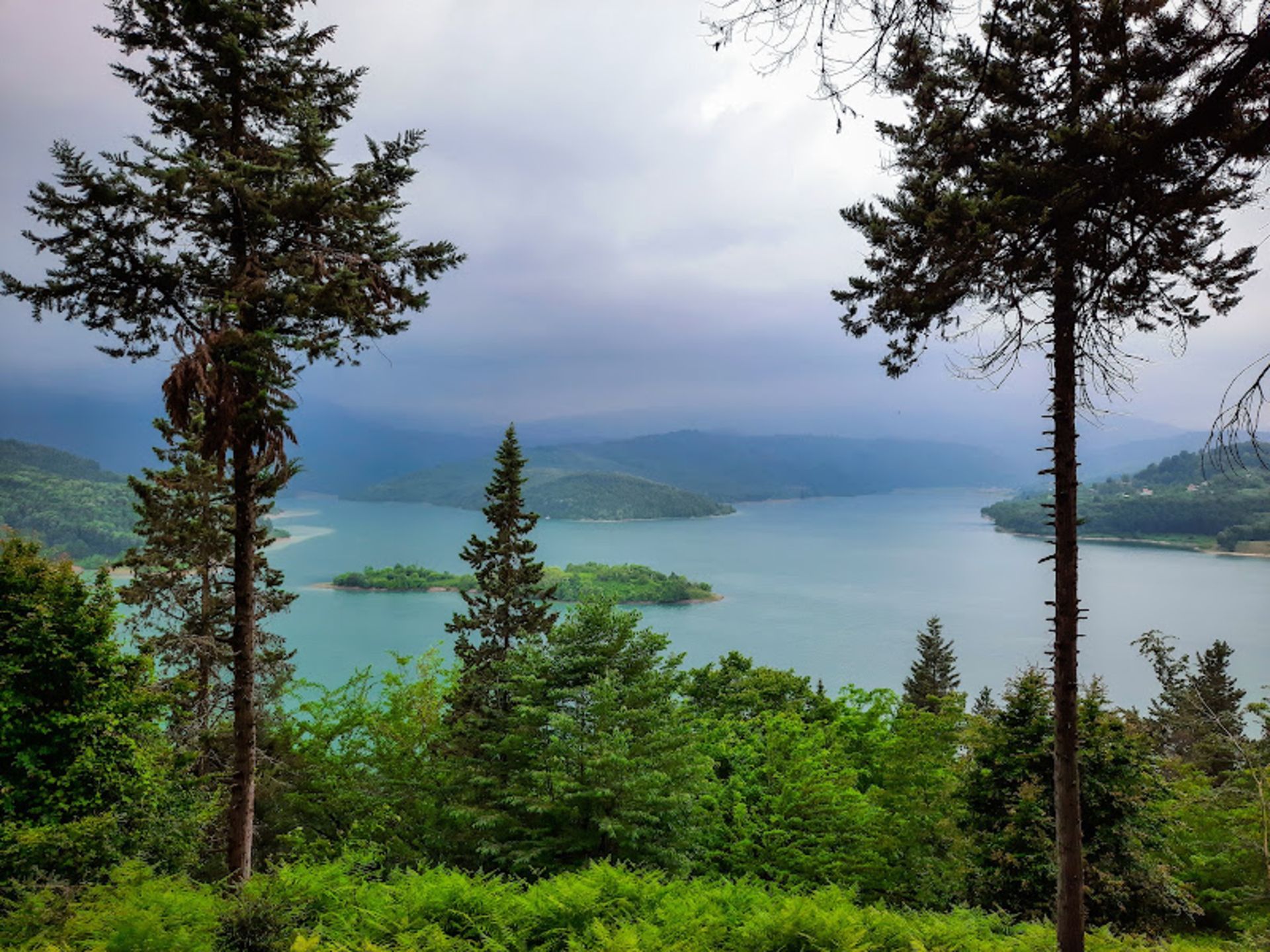 Head trees to skyrocketed next to the Lefur Dam