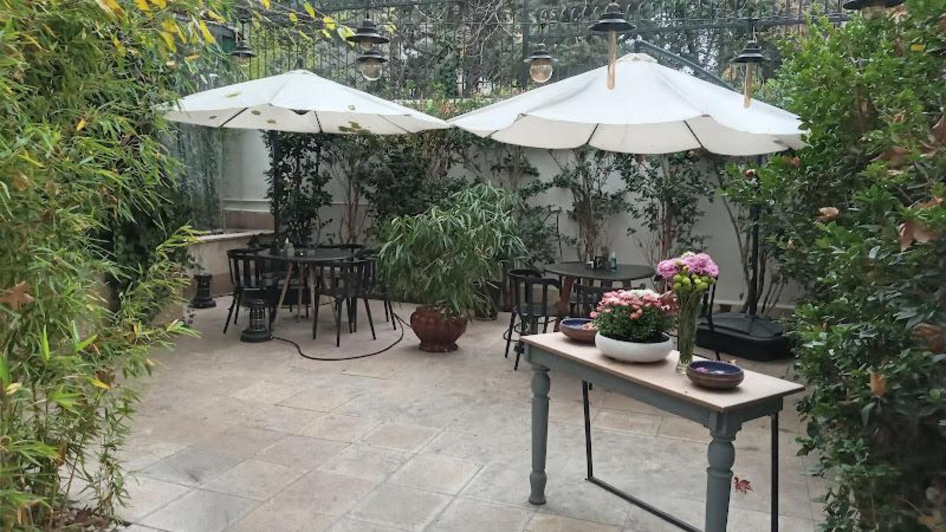 Hog Gallery Cafe and Green Space 