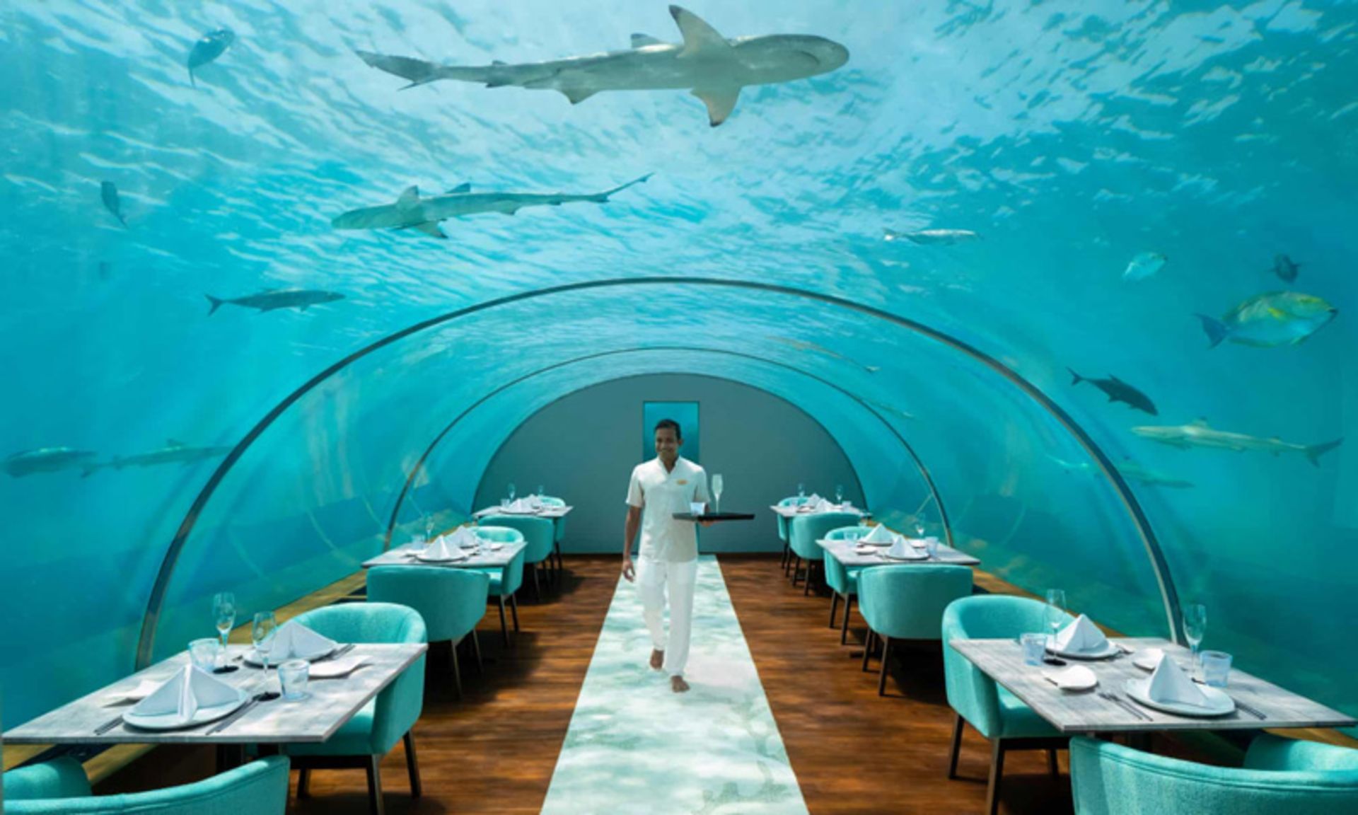 Ita underwater restaura on the island of Maldives Rangali 