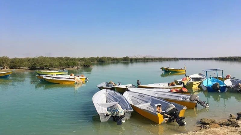 The best time to visit the mangrove forest