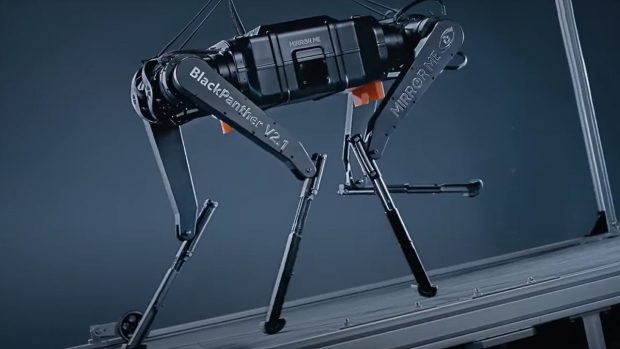 Black Paher Robotics Dog