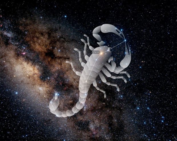 The constellation of the scorpion