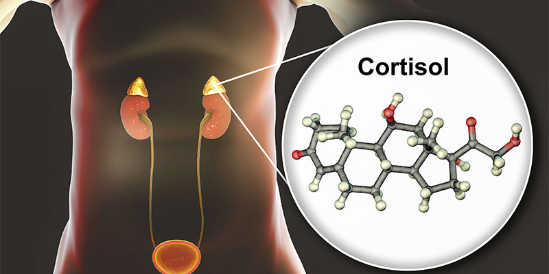 Is high cortisol dangerous