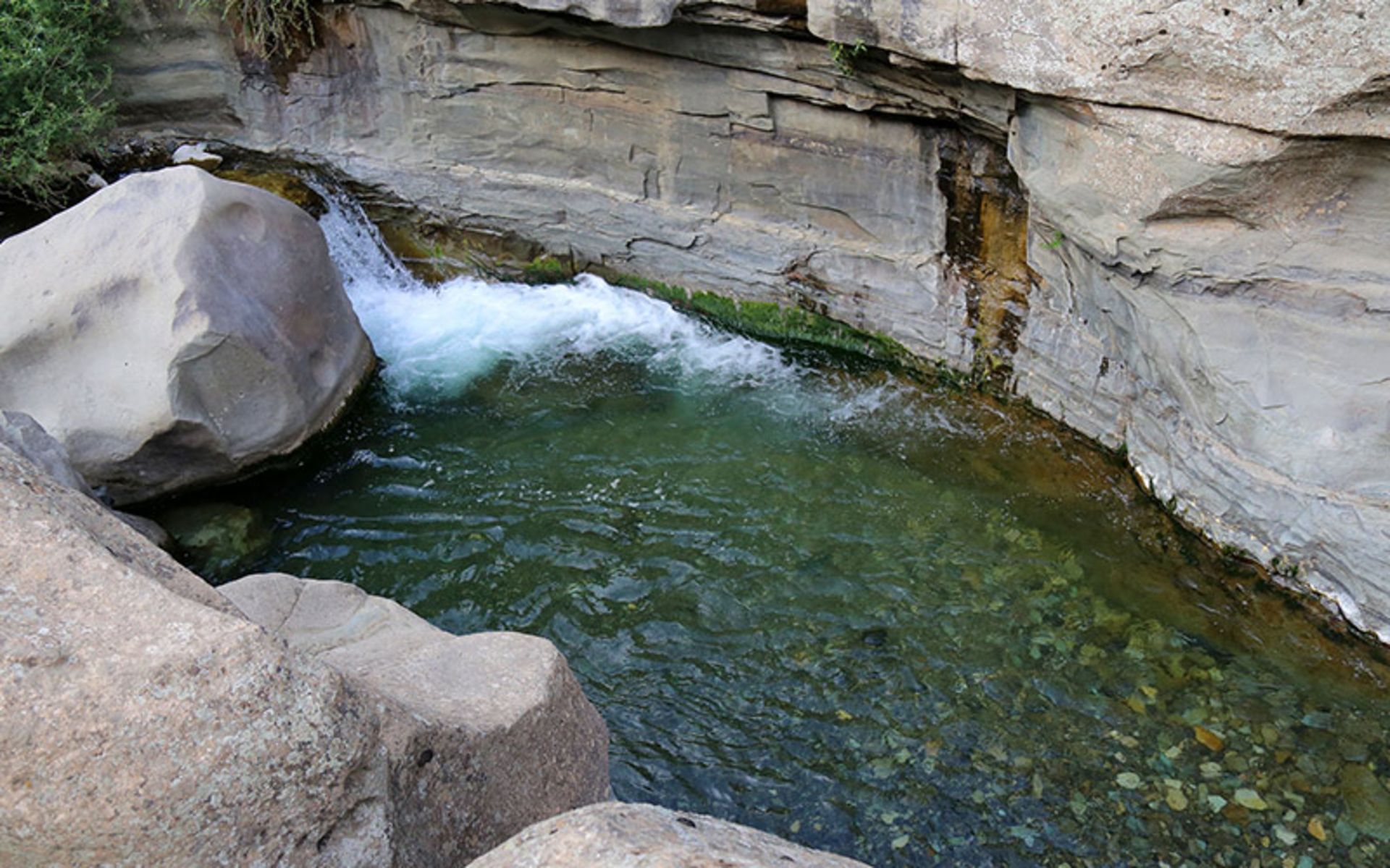 Pond