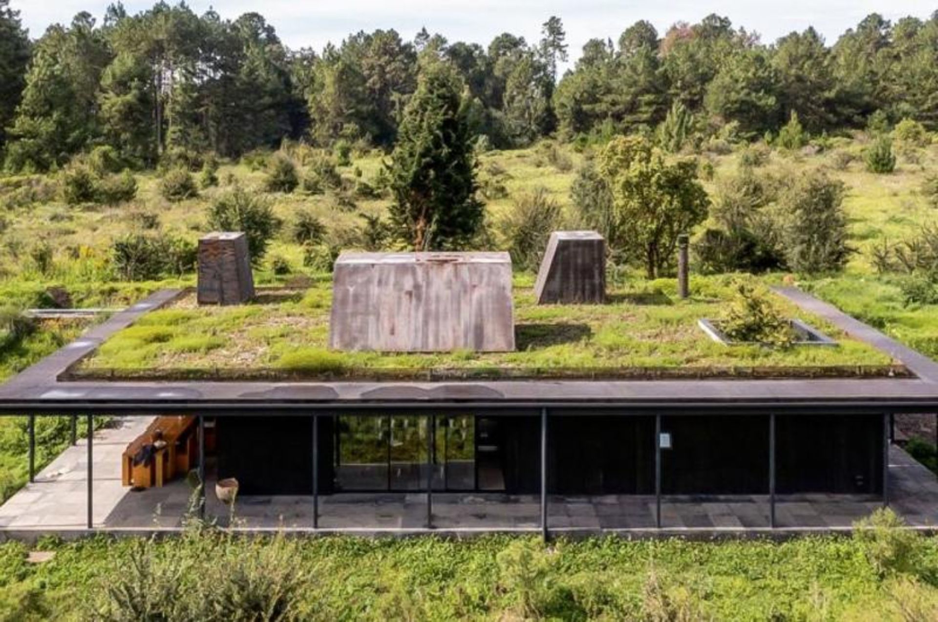Home with green roofs and solar panels