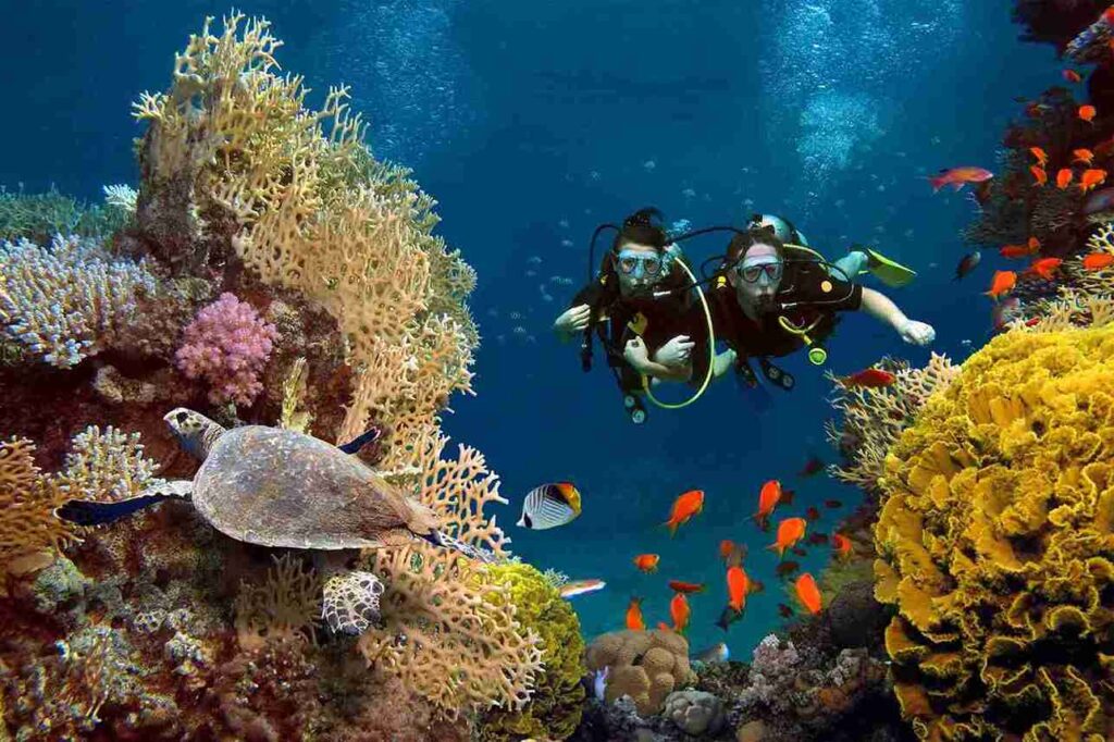 Qeshm