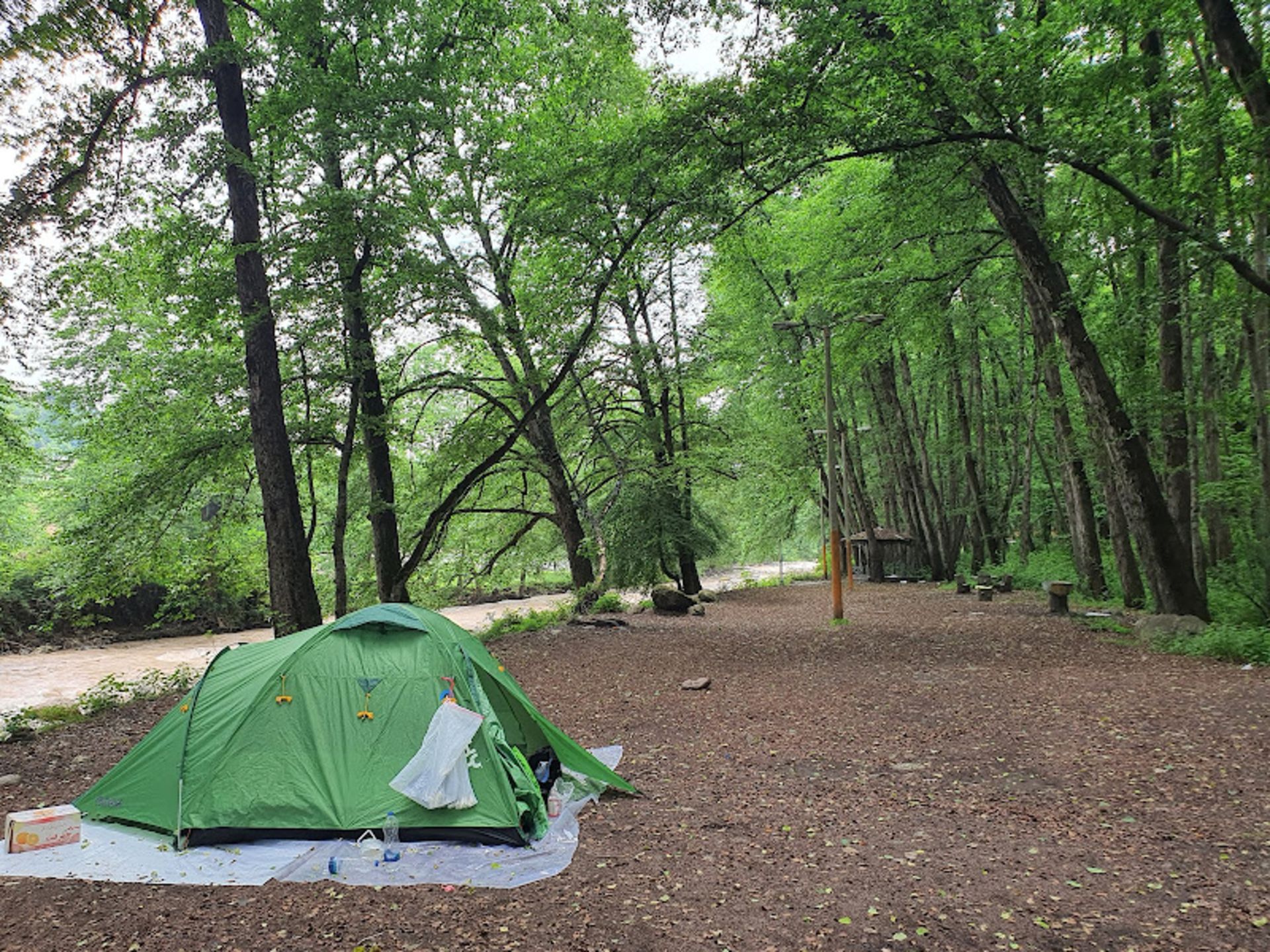 Establishme of a te in Fin Chalus Forest Park