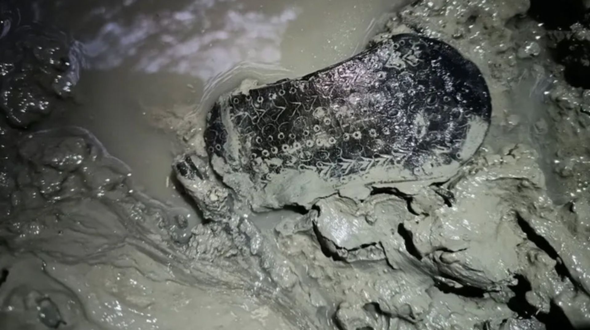 Ancie Roman Sandle in the Flower of the Well