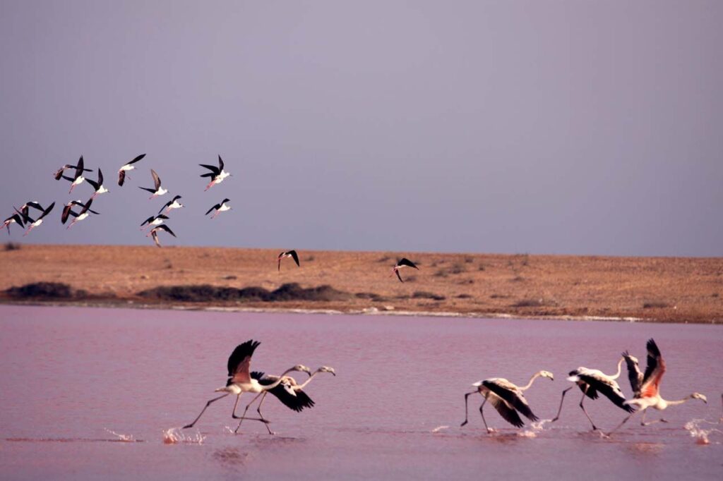 Lipar Wetland Tourist Attractions
