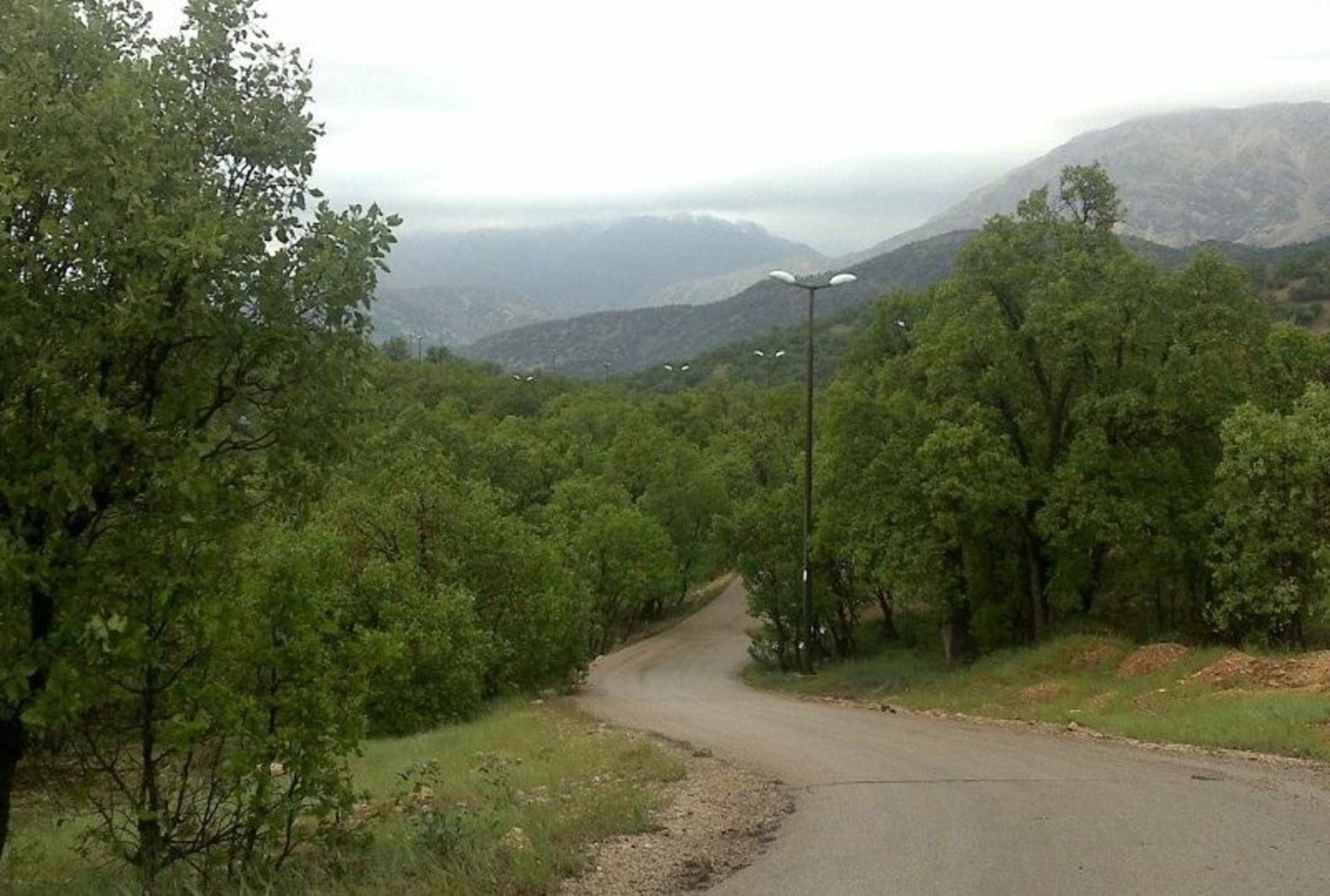 Asphalt Road in Yasuj Forest Park