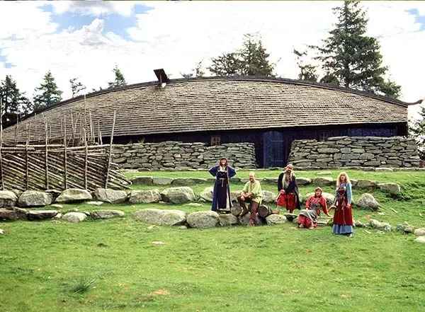 Vikings House Architecture