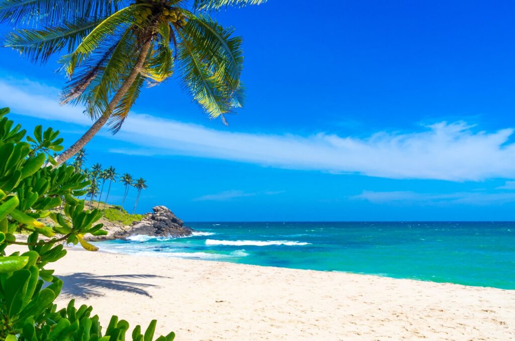 Beaches / Thailand or Sri Lanka