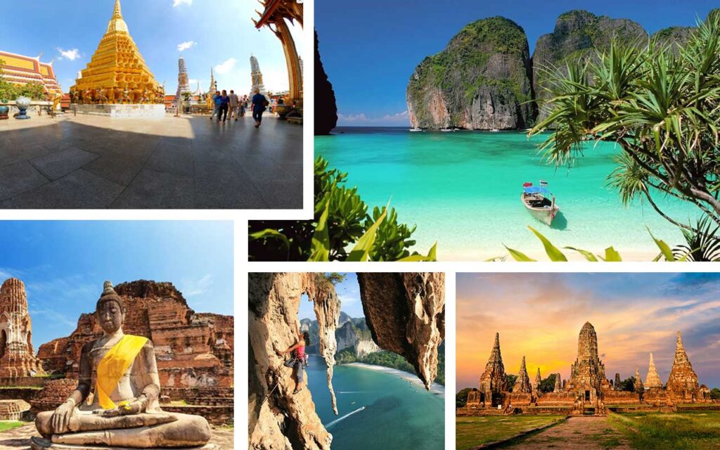 Activities (surfing, diving, health, nightlife)