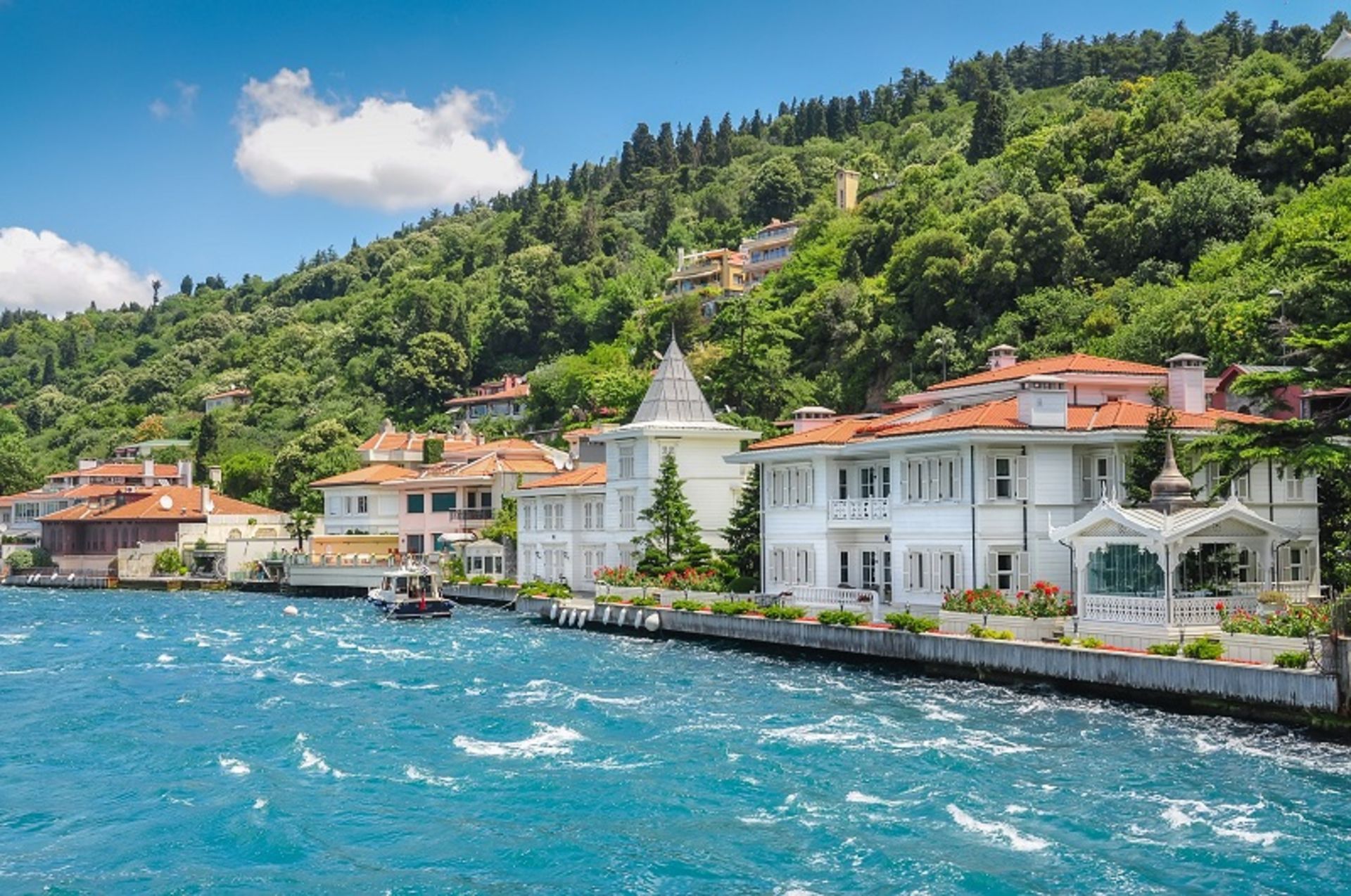Sadaf's White and Famous Buildings