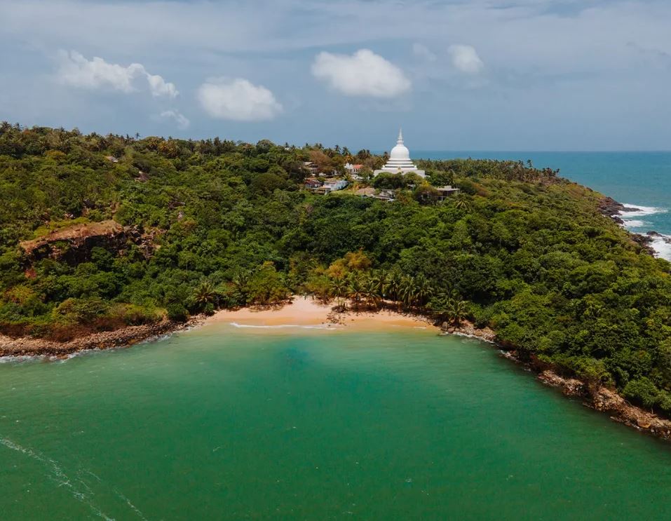 Forest Beach | Jungle Beach