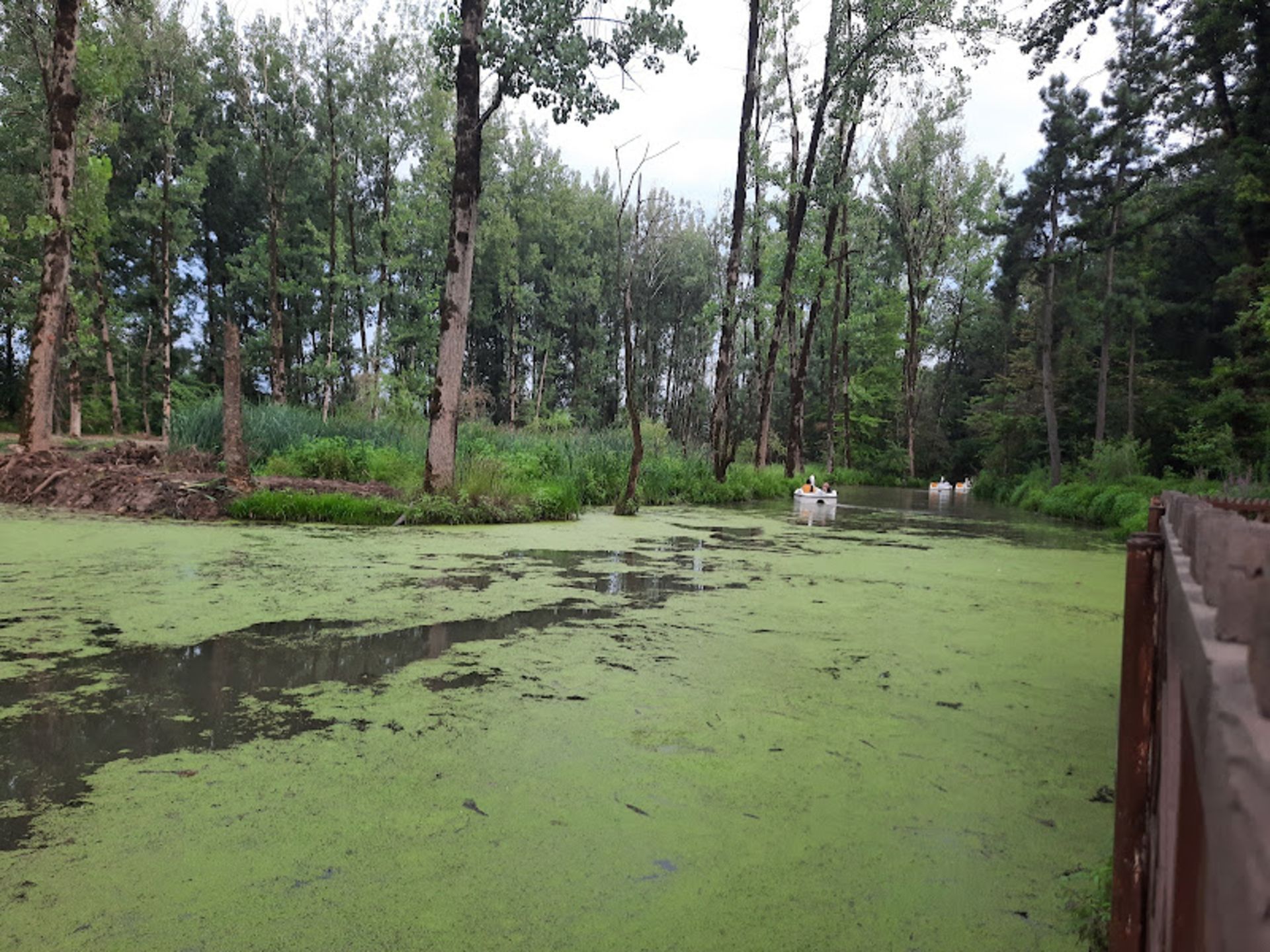 Boat in Saravan Green Lake