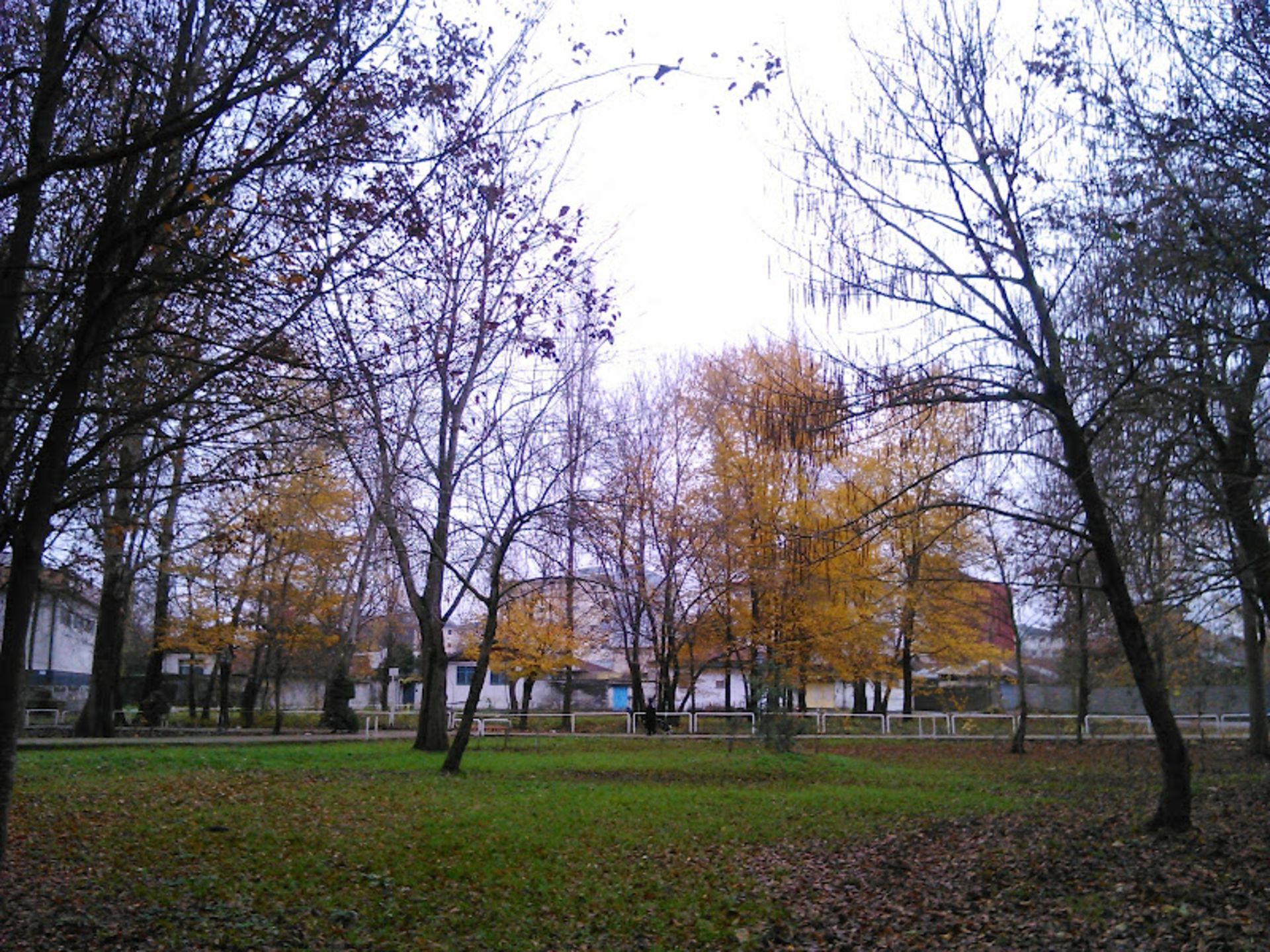 Rasht Mellat Park in Autumn