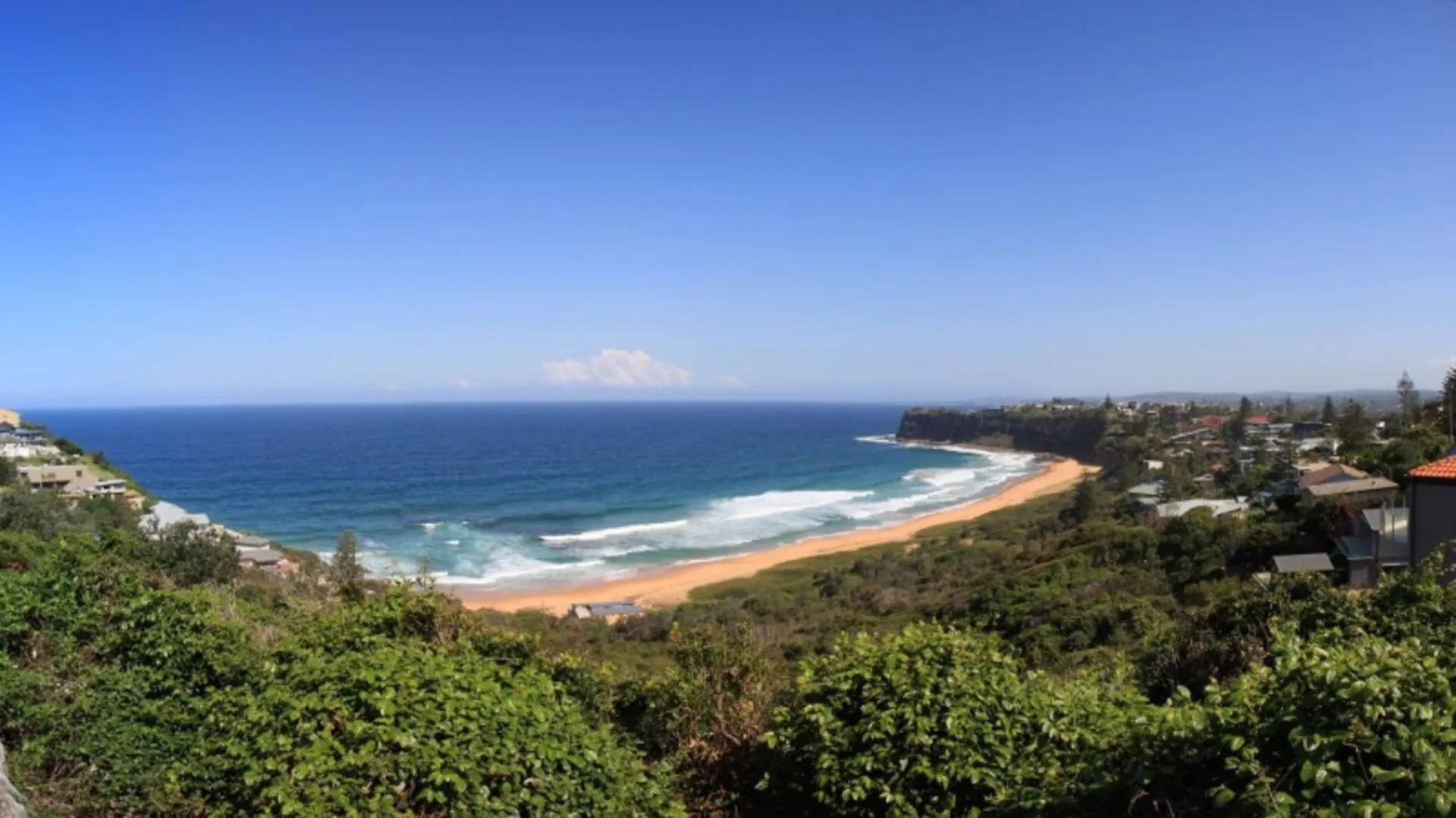 Sydney Beach in a lush area