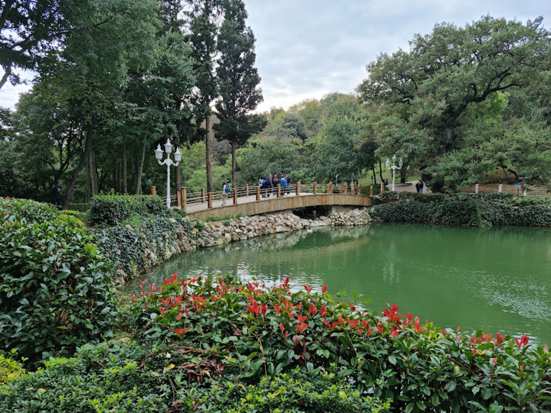 Yildiz Park Lake and Losses