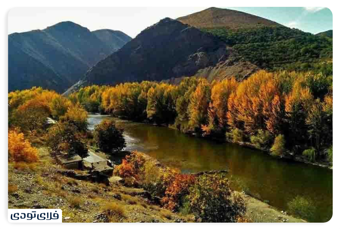 Afjeh forests