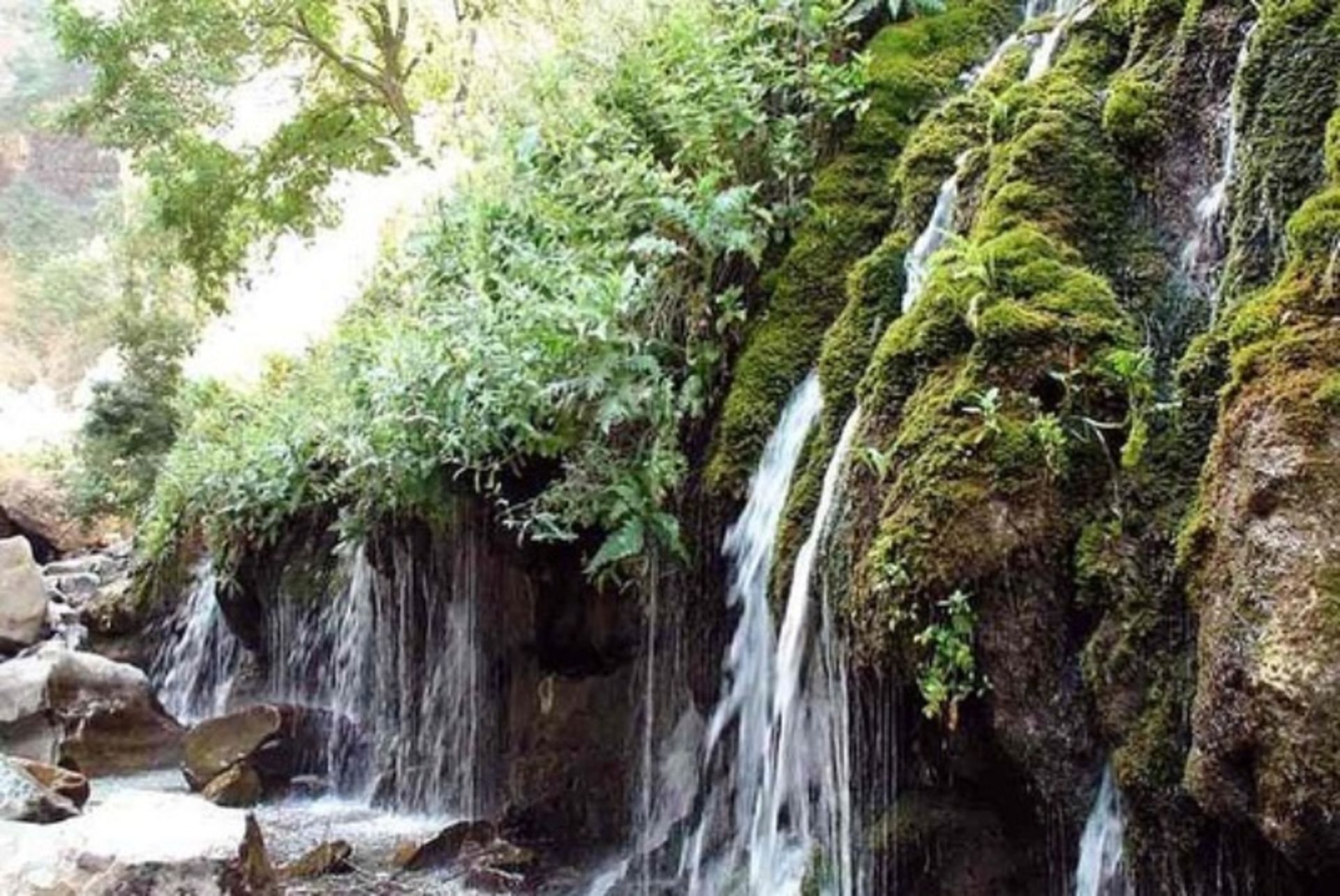 Seven springs between trees and cliffs