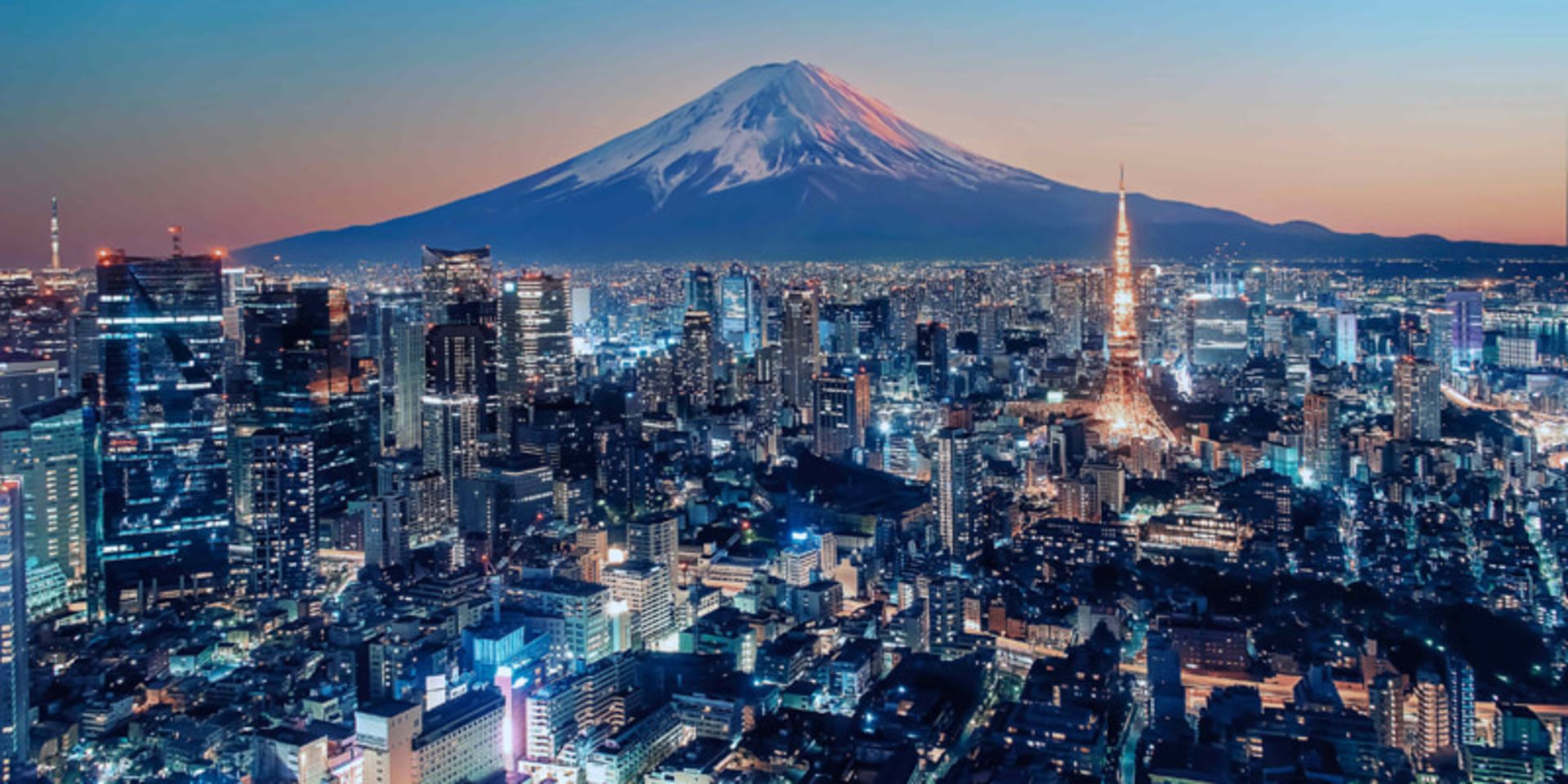 Vision of Tokyo and Fuji Mouain at night