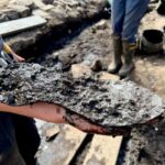 Discover Roman shoes in the UK