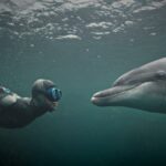 Talk to animals with the help of artificial intelligence