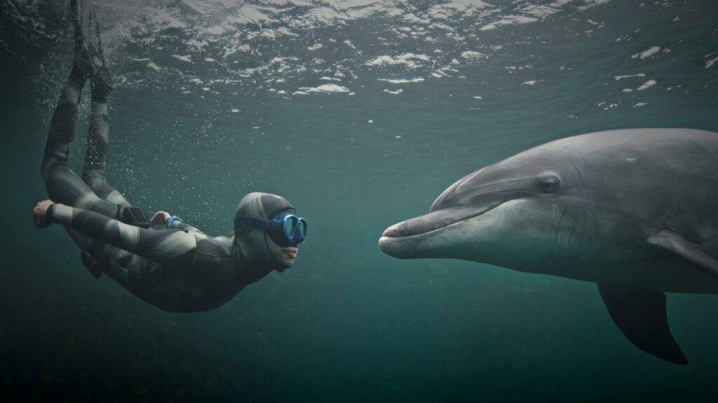 Talk to animals with the help of artificial ielligence
