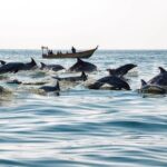 Introducing Qeshm's most exciting water entertainment that should not be missed
