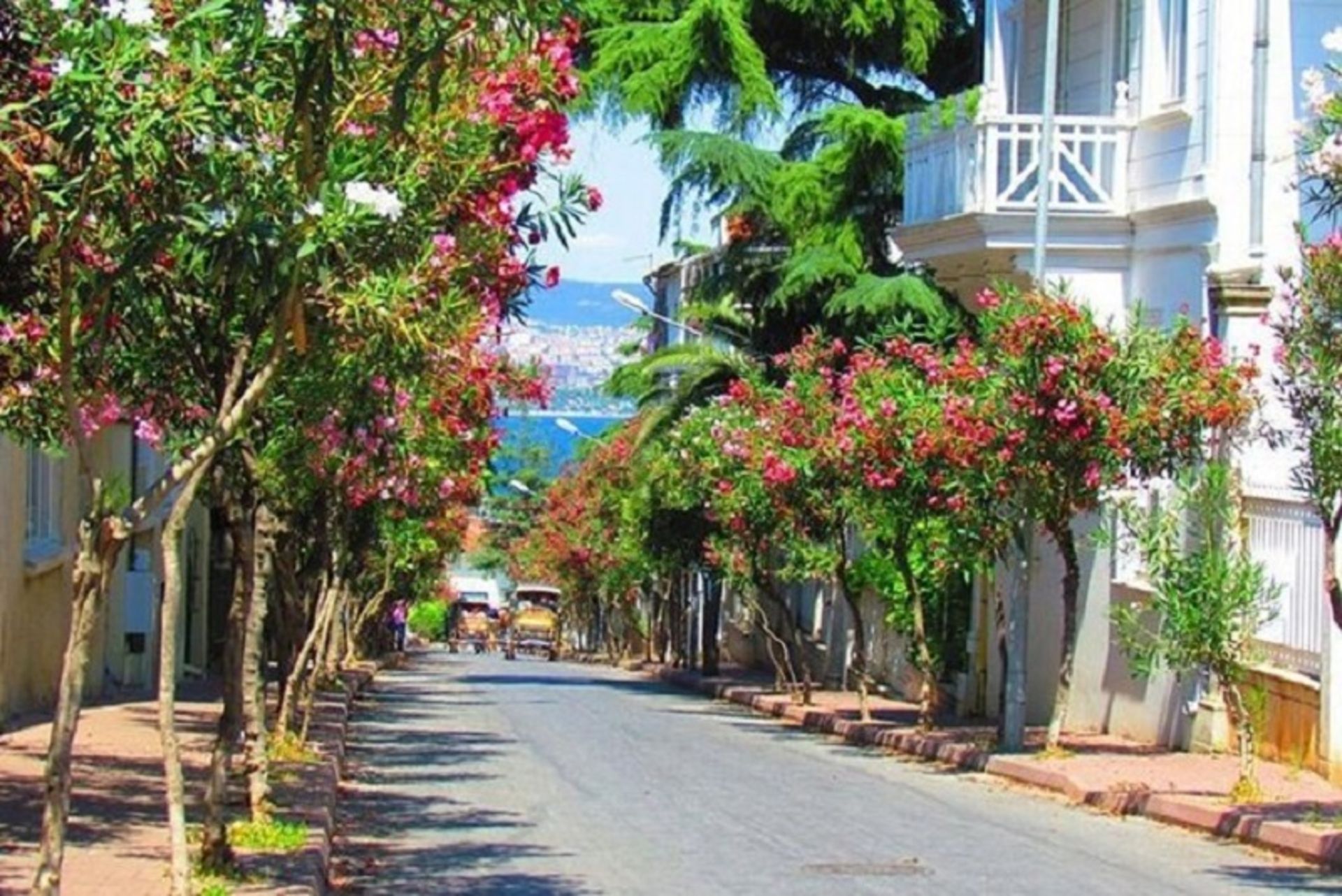 Boyuk Ada's beautiful island