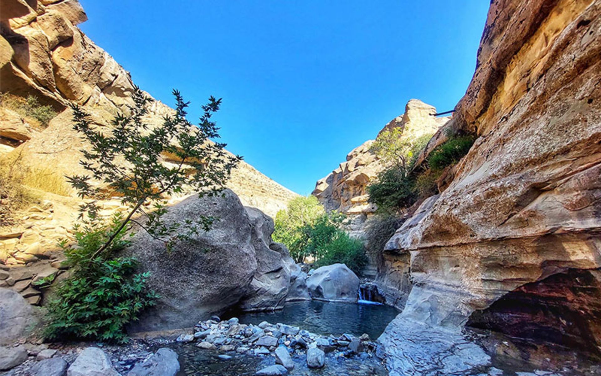 Water pool between rocks and lush nature of the fish