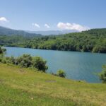 Lefor Dam with a flat sky and lush nature